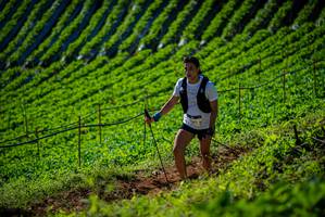 BIB: 
                            <button type="button" onclick="openModal(19161103)" class="btn btn-primary btn-sm float-right btn-popup" data-toggle="modal" data-target=".modal-high-quality">
                        <i class="fas fa-shopping-cart"></i> Add to Cart
                    </button>
                                            <button type="button" onclick="isThisMe(19161103, true)" class="btn btn-success btn-sm float-right btn-popup btn-isme hidden" data-toggle="tooltip" data-placement="bottom" title="นี่คือรูปของคุณใช่ไหม คลิกที่นี่เพื่อเอาเข้าอัลบั้ม">
                        <i class="fas fa-plus"></i> Add to album
                    </button>
                    <button type="button" onclick="isThisMe(19161103, false)" class="btn btn-warning btn-sm float-right btn-popup btn-isnotme hidden">
                        <i class="fas fa-ban"></i> Remove from album
                    </button>